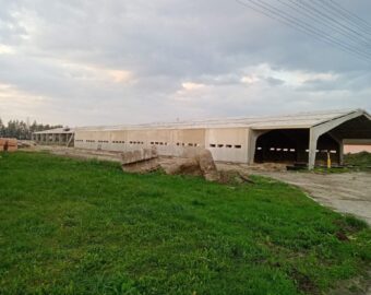 изображение_viber_2025-07-30_16-00-22-009