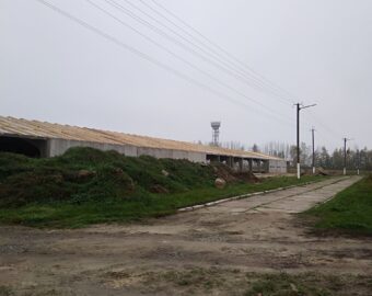 изображение_viber_2025-07-30_16-00-26-717